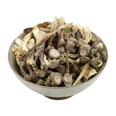 无硫新鲜鹿茸菇干货优质鹿茸菌