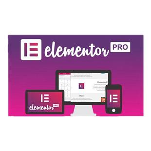 Elementor Pro WP插件 中文版 可视化编辑页面自定义含全套模板