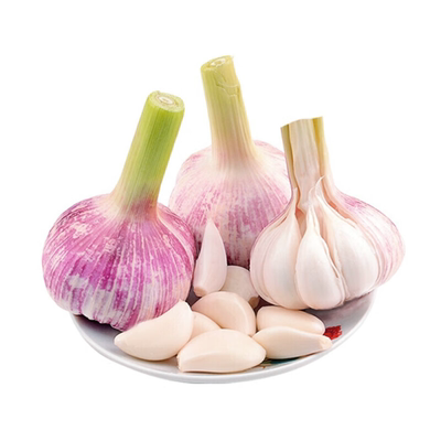 新鲜多瓣紫皮大蒜农家蒜