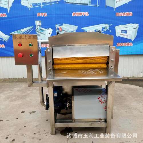 商用粽叶清洗机 循环水喷淋洗粽叶清洗机 苇叶自动清洗机器