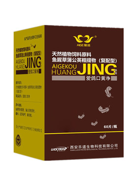 乐道爱鸽口黄净赛鸽毛滴口黄白点