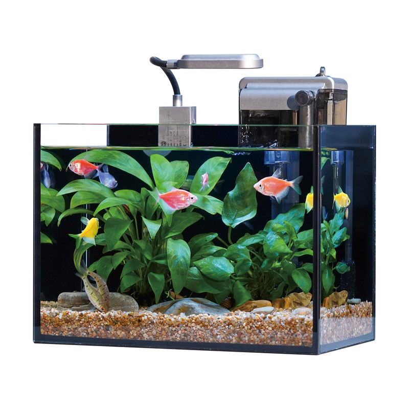 超白玻璃生态溪流客厅家用桌面长方形电视柜水草植物造景小型鱼缸