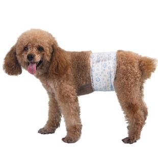 狗狗纸尿裤尿不湿公狗专用大小型犬泰迪小狗宠物比熊幼犬防掉神器