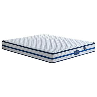 帕沙曼天然乳胶床垫家用软垫席梦思独立弹簧黄麻椰棕床垫子23cm