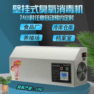 枫花10g壁挂式 臭氧发生器臭氧消毒机食品厂单位学校仓库养殖场20g