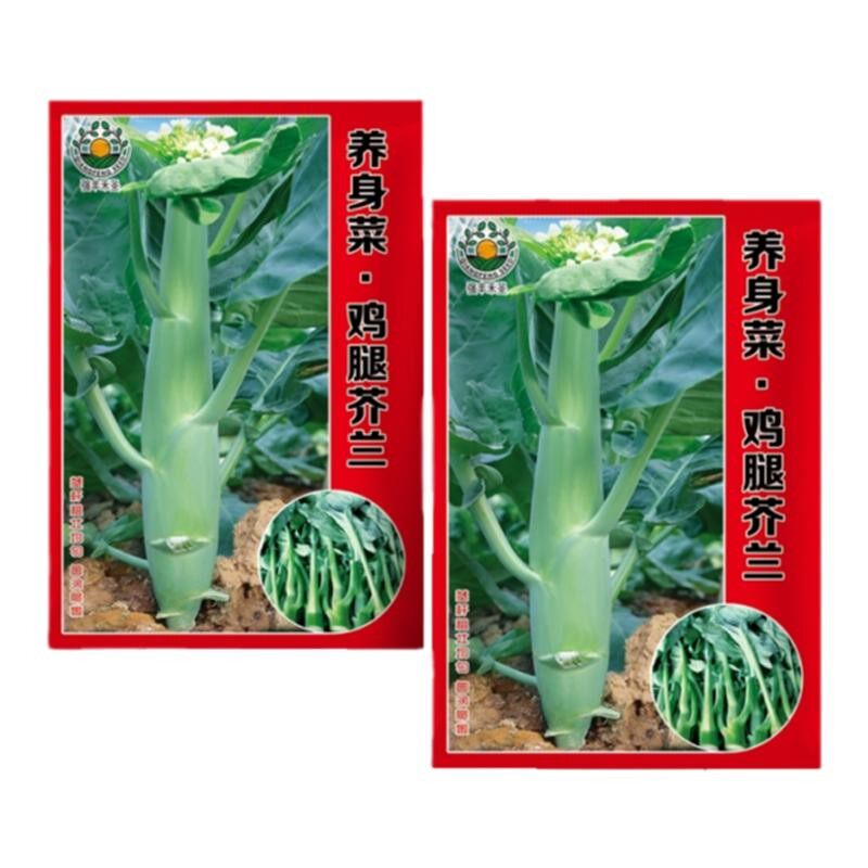大笋鸡腿甜芥兰种子甜脆小菜园阳台家庭种芥菜芥蓝菜蔬菜种易成活