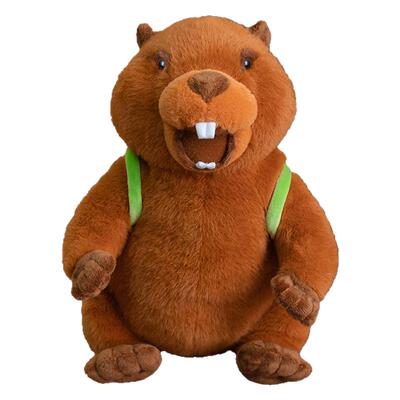 网红会大声’啊‘的土拨鼠