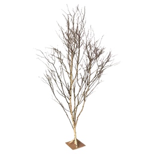 干树枝白桦树装饰树叶婚庆白树枝酒店橱窗吊顶造型树木活动白树枝