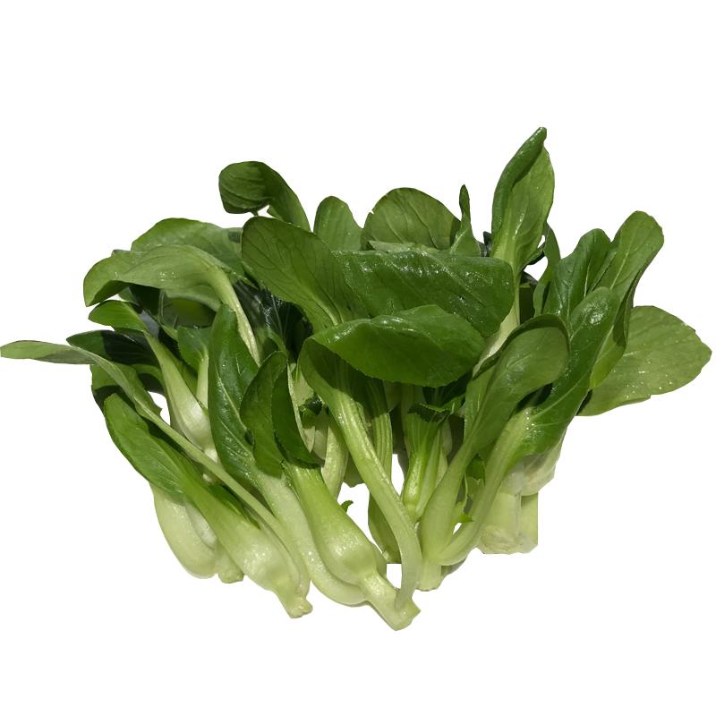 宝宝辅食火锅现拔发货鲜嫩小油菜