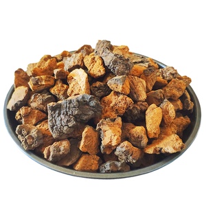 桦树茸俄罗斯进口旗舰店野生华树茸正品白桦茸的功效和作用长白山