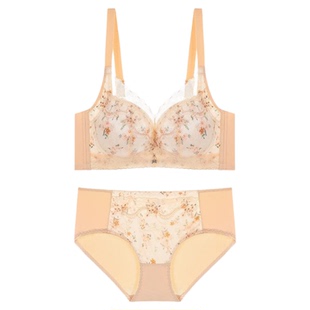 秋冬季内衣女聚拢小胸无钢圈收副乳文胸上薄下厚款调整型胸罩套装