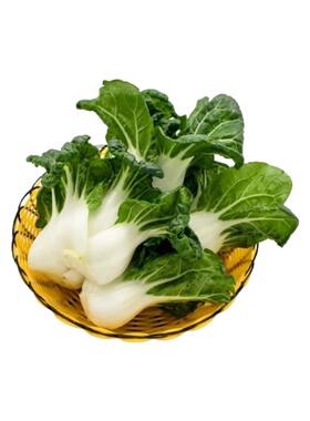 4各种蔬菜种农田菜米园高产种蔬菜豆角、玉子等蔬菜易种
