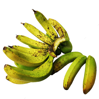 高山罕有真正野生香蕉新鲜水果