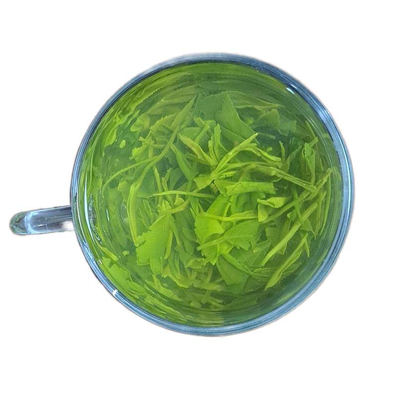 浓香型春季绿茶26年襄阳保康新茶叶炒青茶雨前高山云雾茶散装