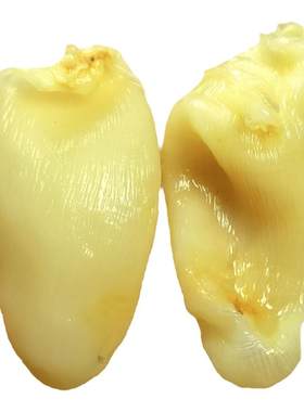 厚肉高泡发珍珠胶鸡蛋胶商用热款
