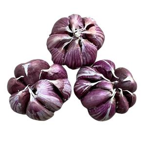 正宗云南2025新鲜大理紫皮大蒜农家大蒜头新干蒜5斤红蒜多瓣香蒜