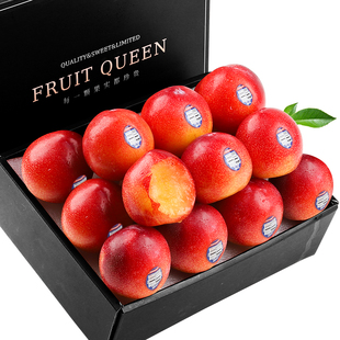 顺丰礼盒 5斤智利进口珠宝李子新鲜水果当季孕妇樱桃李红布林整箱