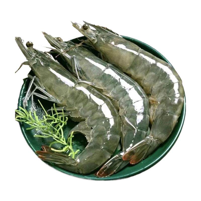 大虾鲜活速冻大虾基围虾