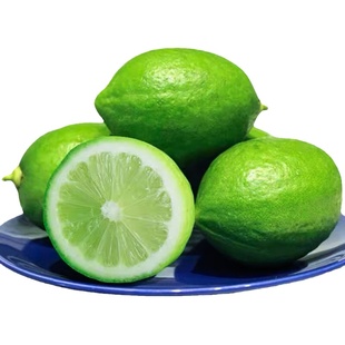 广东香水柠檬一级果无籽新鲜咖啡奶茶店专用青香柠檬现摘水果批发