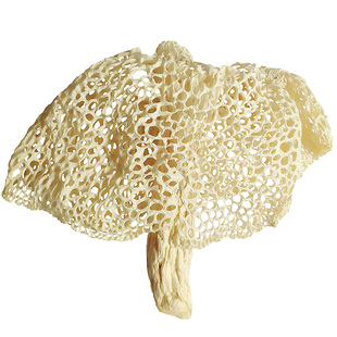 蜀南竹海农家精选长裙竹荪干货天然无硫长宁竹荪250g宜宾双溪特产