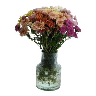 小雏菊鲜花云南基地直发