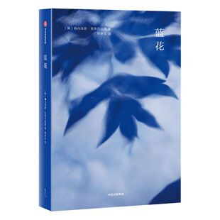 蓝花 佩内洛普菲茨杰拉德 著 历史小说 中信出版社图书 正版书籍