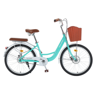 RALEIGH英国兰令复古通勤自行车24寸轻便男女士城市学生单车