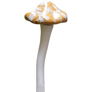外贸陶瓷蘑菇花园庭院草坪花盆花插插件装饰品加园艺杂货盆景造景