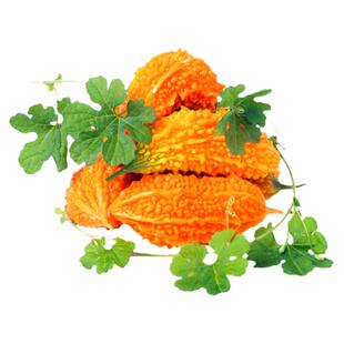赖葡萄水果苦瓜种子小癞瓜金铃子 赖瓜 种籽盆栽四季播蔬菜种苗孑