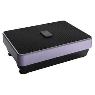 减肥垂直律动机站立式全身110v甩脂机振动瘦身懒人家用健身抖抖机