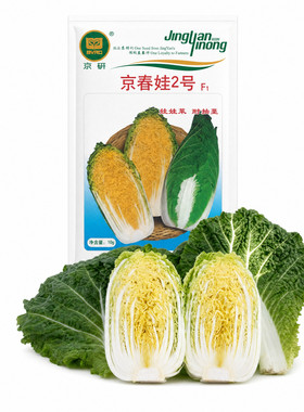 农科院大白菜种子青麻叶四季快菜