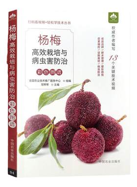 杨梅高效栽培与病虫害防治彩色图谱 扫码看视频 轻松学技术丛书 杨梅栽培病虫害防治 杨梅图谱栽培种植技术书籍