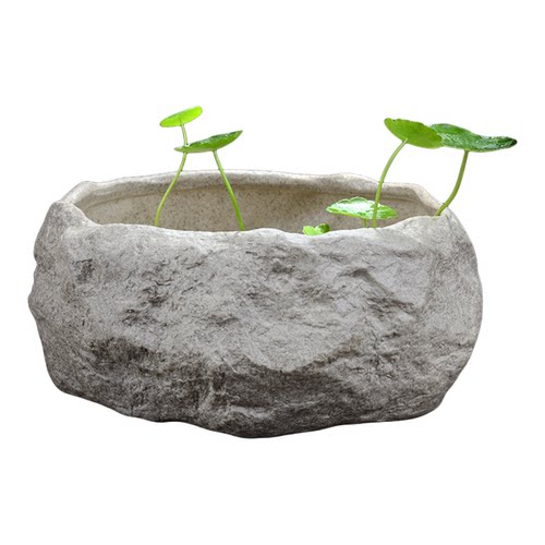 铜钱草花盆水仙盆睡莲碗莲无孔金钱陶瓷清仓水养水培专用多肉大号