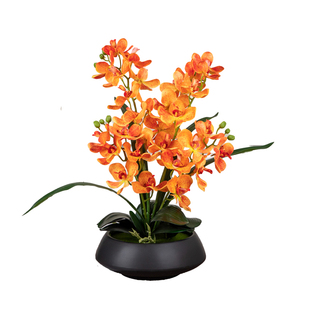高级装饰氛围感新中式客厅桌面装饰仿真假花兰花花艺盆栽摆设摆件