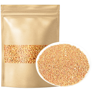 楮实子500g克原本草天然纯新货褚实子楮实正品楮实籽构树子