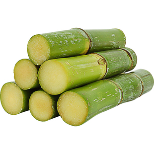 甘蔗种籽种子苗孑青皮甜高粱北方南方四季甜杆种植水果高粱杆籽种