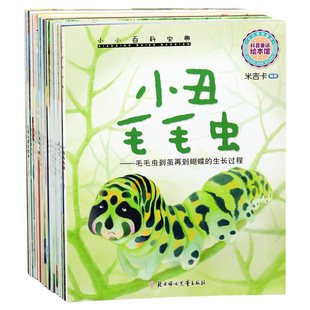 小小百科宝典牙齿村儿童绘本4到6岁幼儿园科学科普故事三四五岁小中大班童话宝宝睡前故事书学前班亲子阅读老师推荐读物兔子邮递员