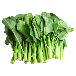 甜杆芥蓝种子芥蓝大田露天种植春季夏秋冬四季播种籽广东蔬菜种孑