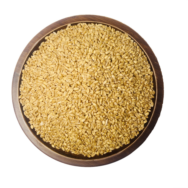 25年新小麦粒麦子小麦种子小麦酿酒食用麦芽糖喂鸽子喂鸡鸟10斤装