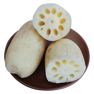 新鲜莲藕现挖带泥菜藕脆藕鲜藕莲藕炒食藕糖藕卤藕