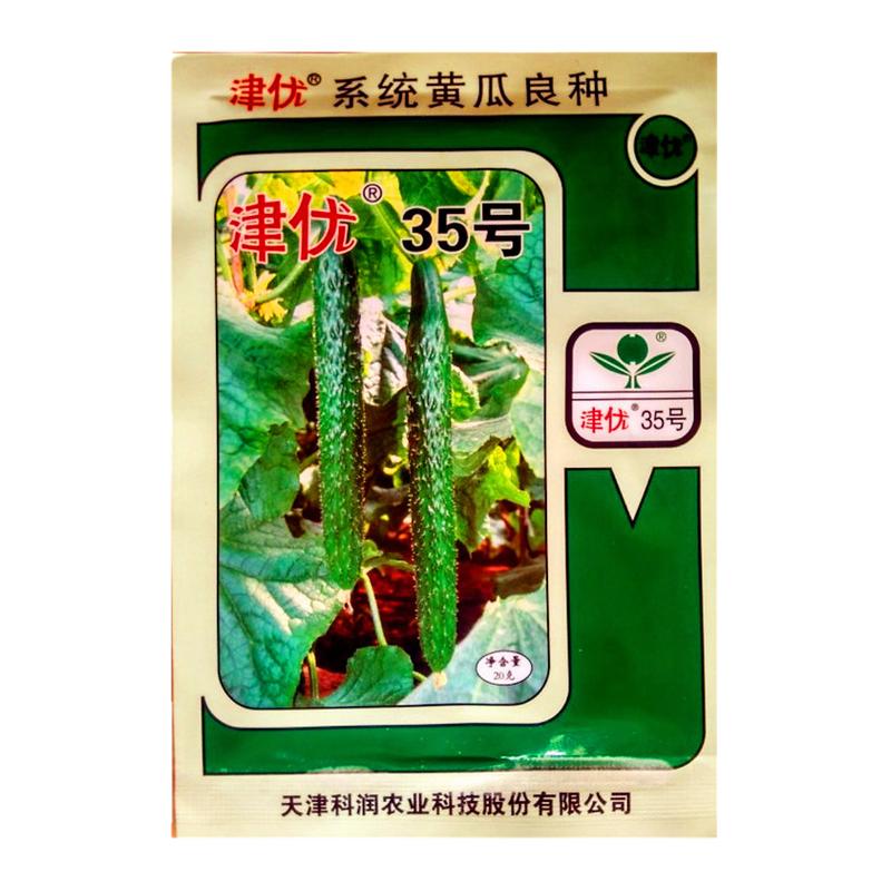优质青黄瓜种子蔬菜种籽抗病高产
