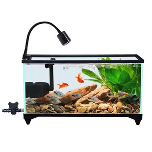 超白鱼缸玻璃桌面客厅生态斗鱼金鱼乌龟缸造景龟鱼共养新款生态缸