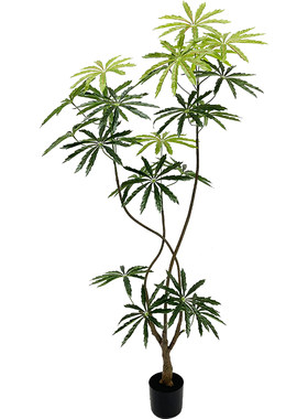 仿真绿植盆栽孔雀木落地装饰摆件