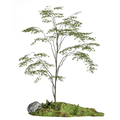 仿真绿植景观造景植物高端橱窗
