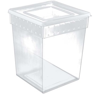 爬虫饲养盒爬宠箱蜘蛛角蛙守宫蜥蜴寄居蟹蜗牛蛇昆虫乌龟缸人渣盒