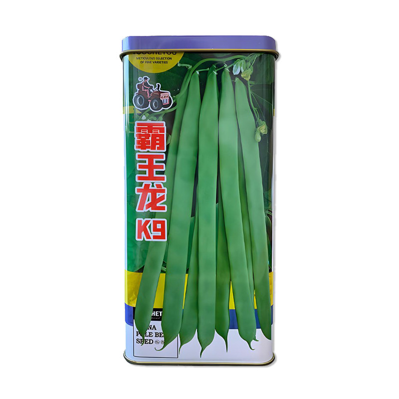 拖车头霸王龙K9豆角种子