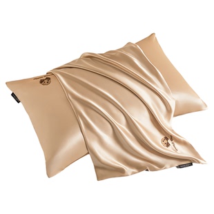 TeenieWeenie小熊刺绣真丝A类枕头套纯色单面100桑蚕丝枕套一对装