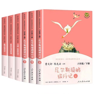 快乐读书吧六年级下册鲁滨逊漂流记汤姆索亚历险记尼尔斯骑鹅旅行记爱丽丝漫游奇境记配套人教版课本  小学推荐阅读名著阅读