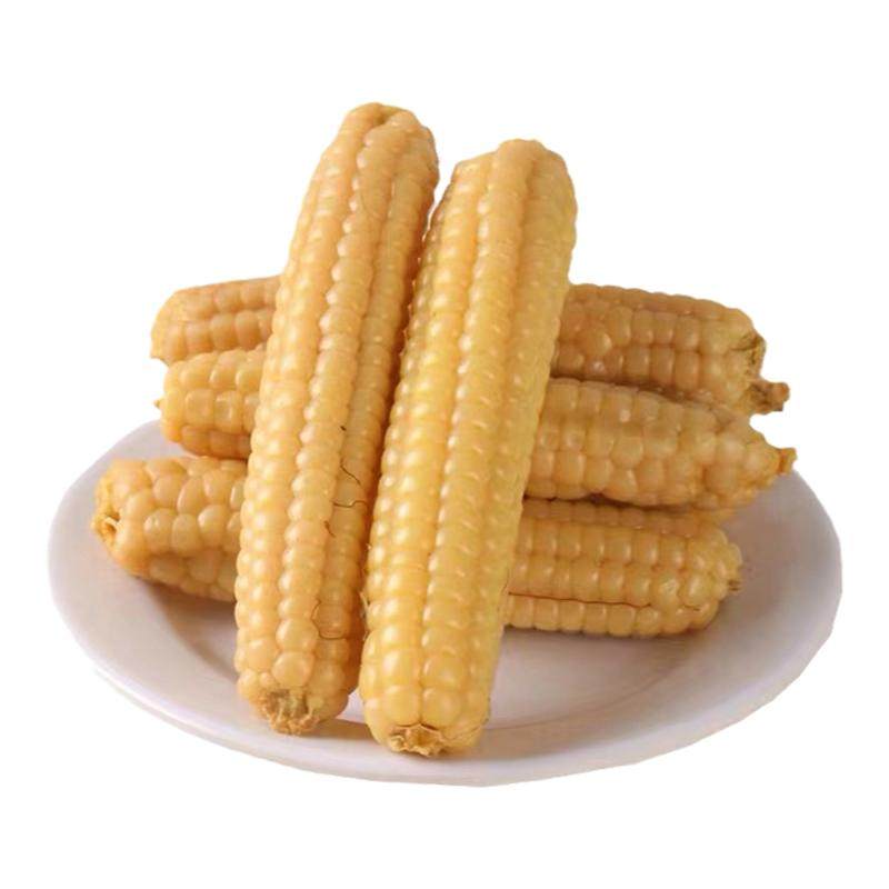 拇指小玉米孕妈宝宝即食新鲜真空