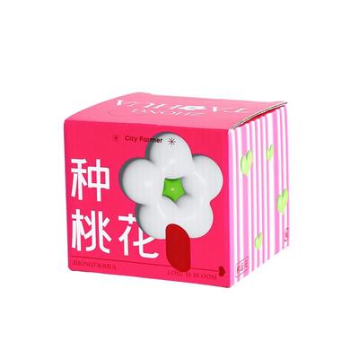 wishmore种桃花创意生日礼物